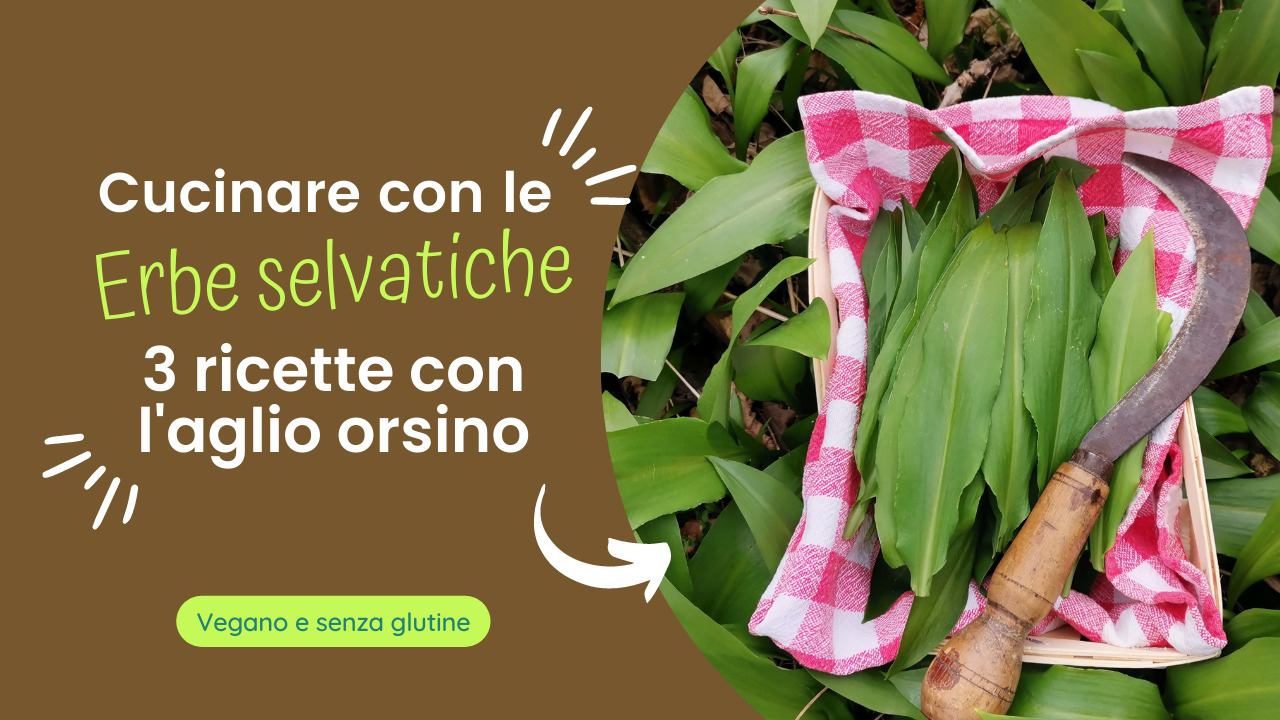 Tre ricette con l'aglio orsino