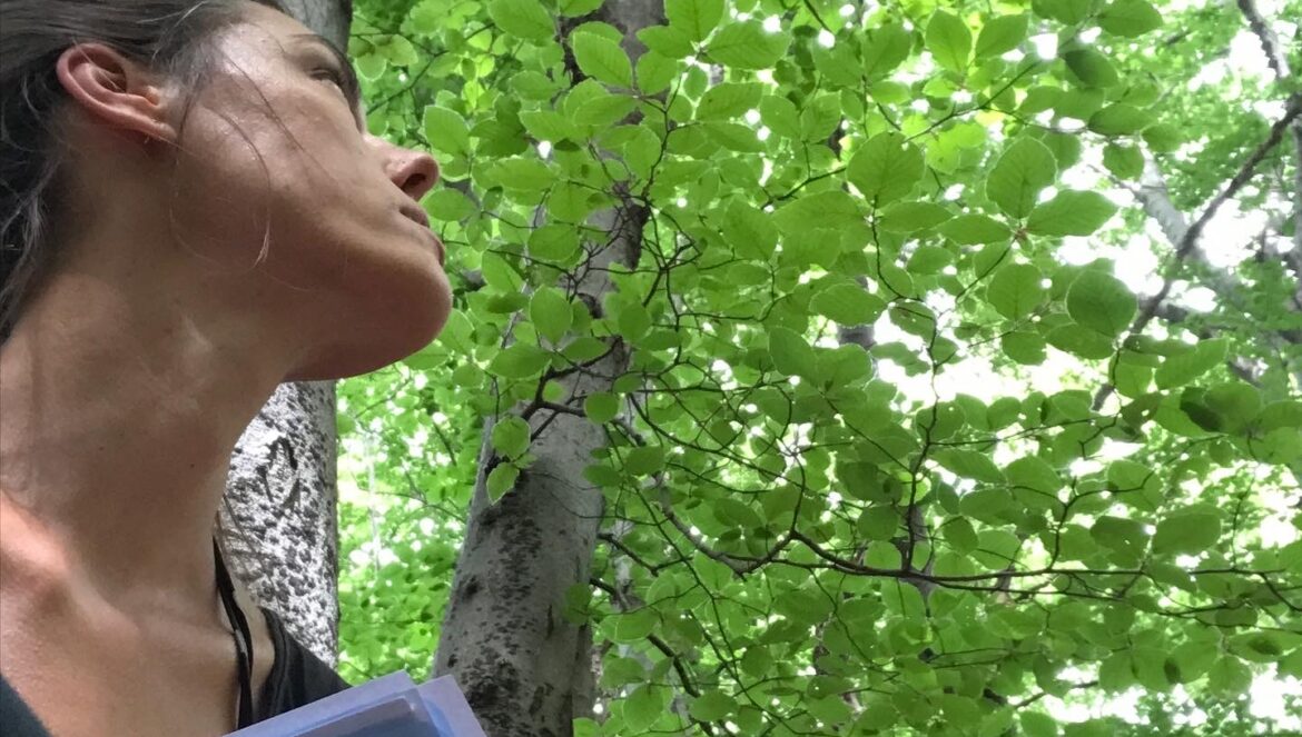 Barbara Botticchio, guida certificata Forest Bathing e Forest Therapy