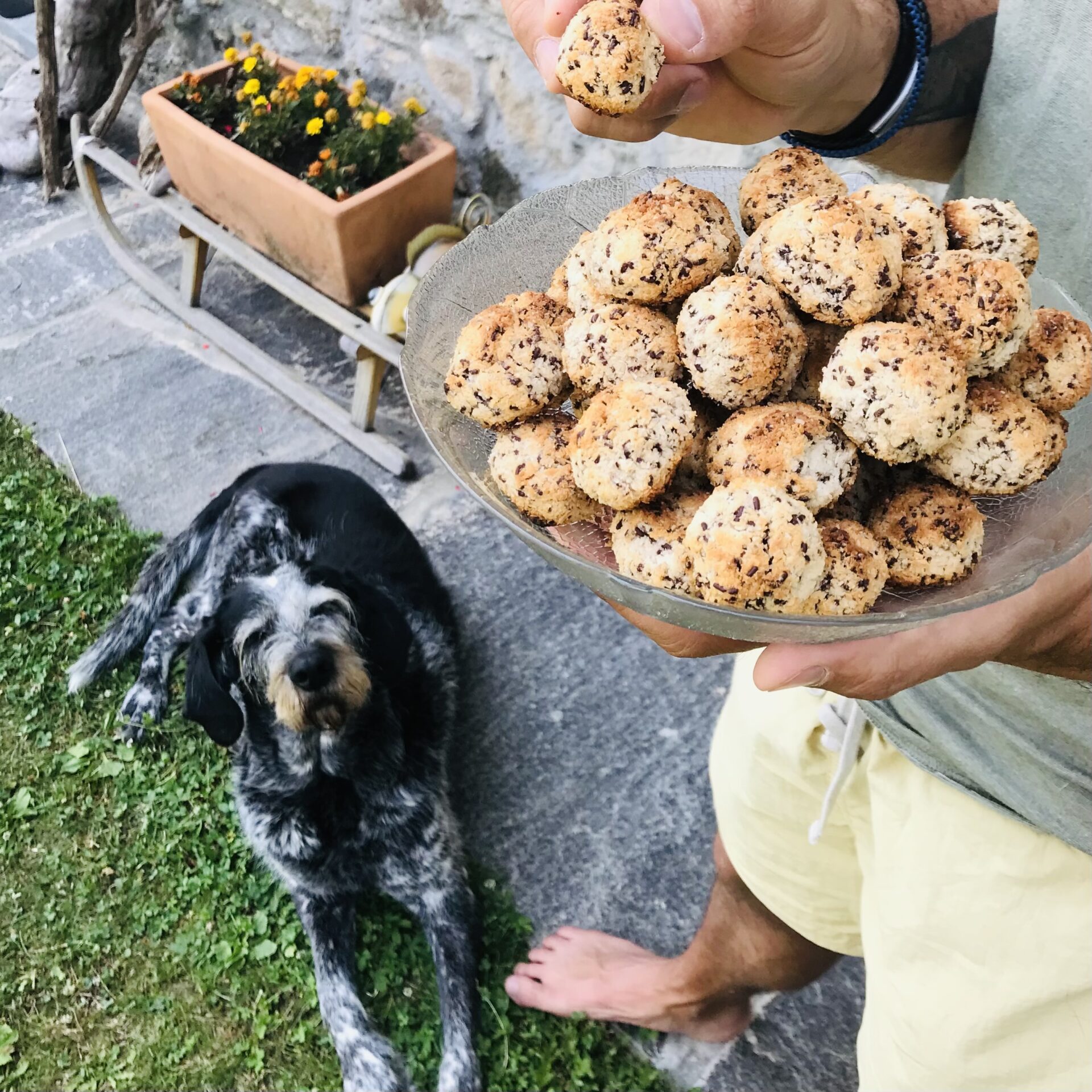 Biscotti al cocco vegani e senza glutine