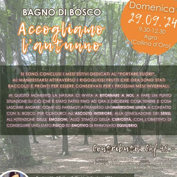Bagno di bosco "Accogliamo l'autunno" con Barbara Botticchio, guida certificata FTHub di Bagni di Bosco e Forest Therapy